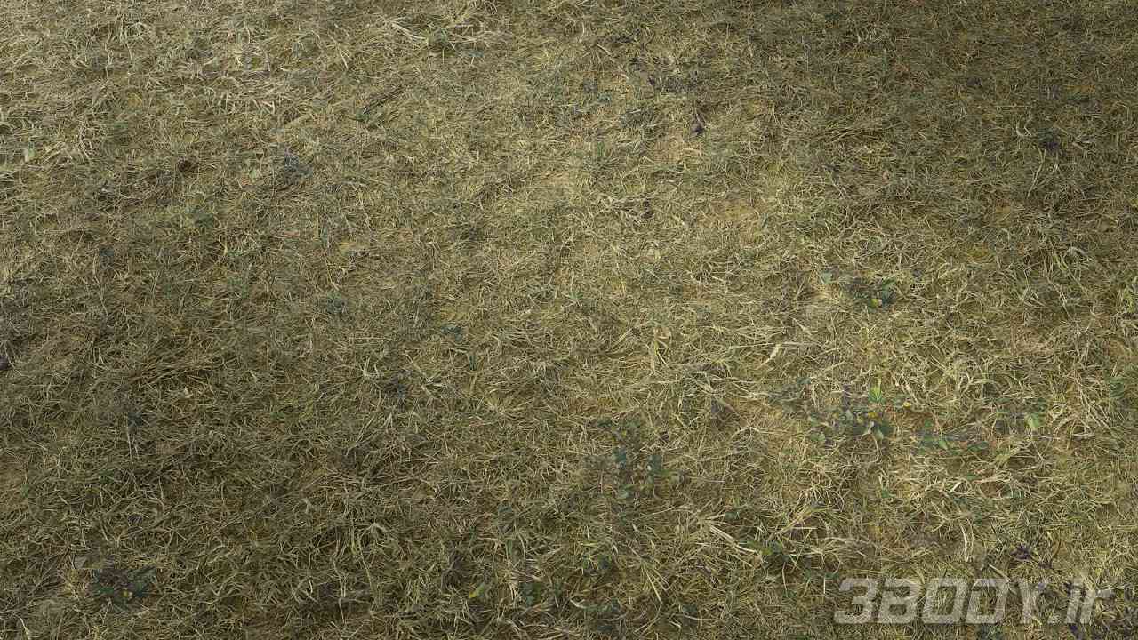 متریال چمن خشک شده dried grass عکس 1